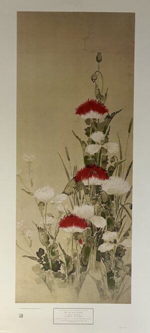 1966 New York Graphic Society Japanese Red & White Poppies Nomura Sotatsu Print