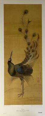Mori Sosen “Peacock”