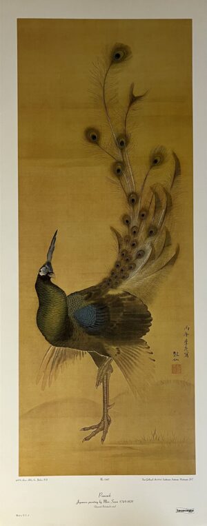 Mori Sosen “Peacock”