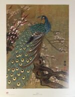 Chiu Weng “Peacock” 1978