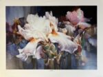 White Iris, Cheng-Khee Chee