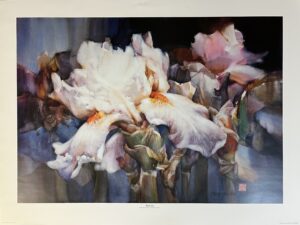 White Iris, Cheng-Khee Chee