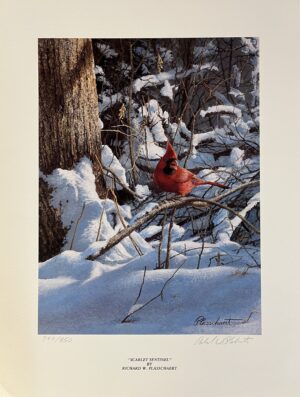 Scarlet Sentinel, Richard Plasschaert